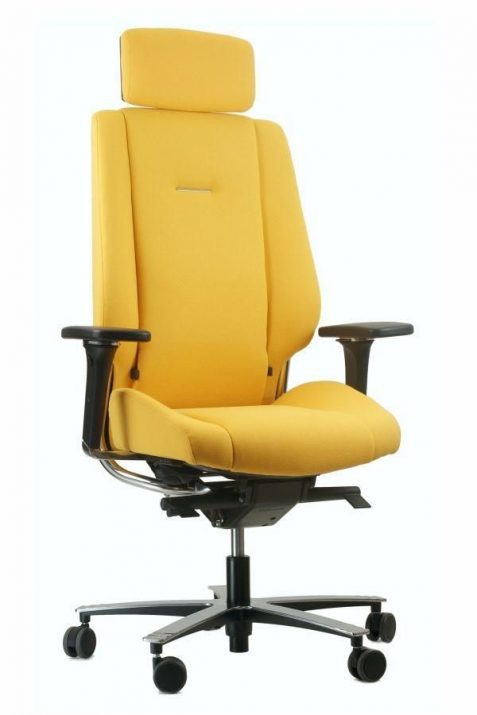 NEXO-600x900-7
