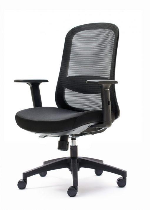 ptr2-ok1